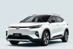 preço do BYD King
