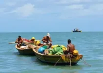 benefício para pescadores