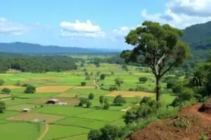 Incra reforma agrária Jataí