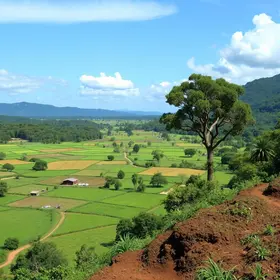 Incra reforma agrária Jataí