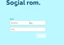 feeds RSS