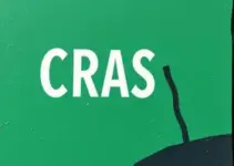 RSS Feed