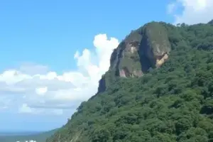 RSS Feed