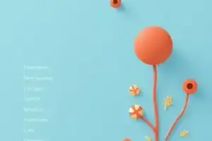 RSS Feed