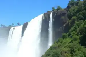 RSS Feed